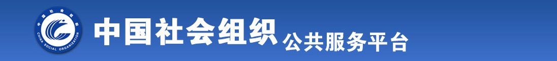 caonibibibi网址全国社会组织信息查询